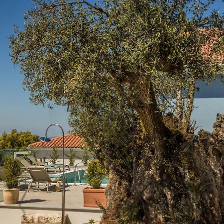 ארגוסטולי Summertime Villas מראה חיצוני תמונה